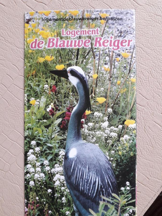 Logement De Blauwe Reiger フーレン エクステリア 写真